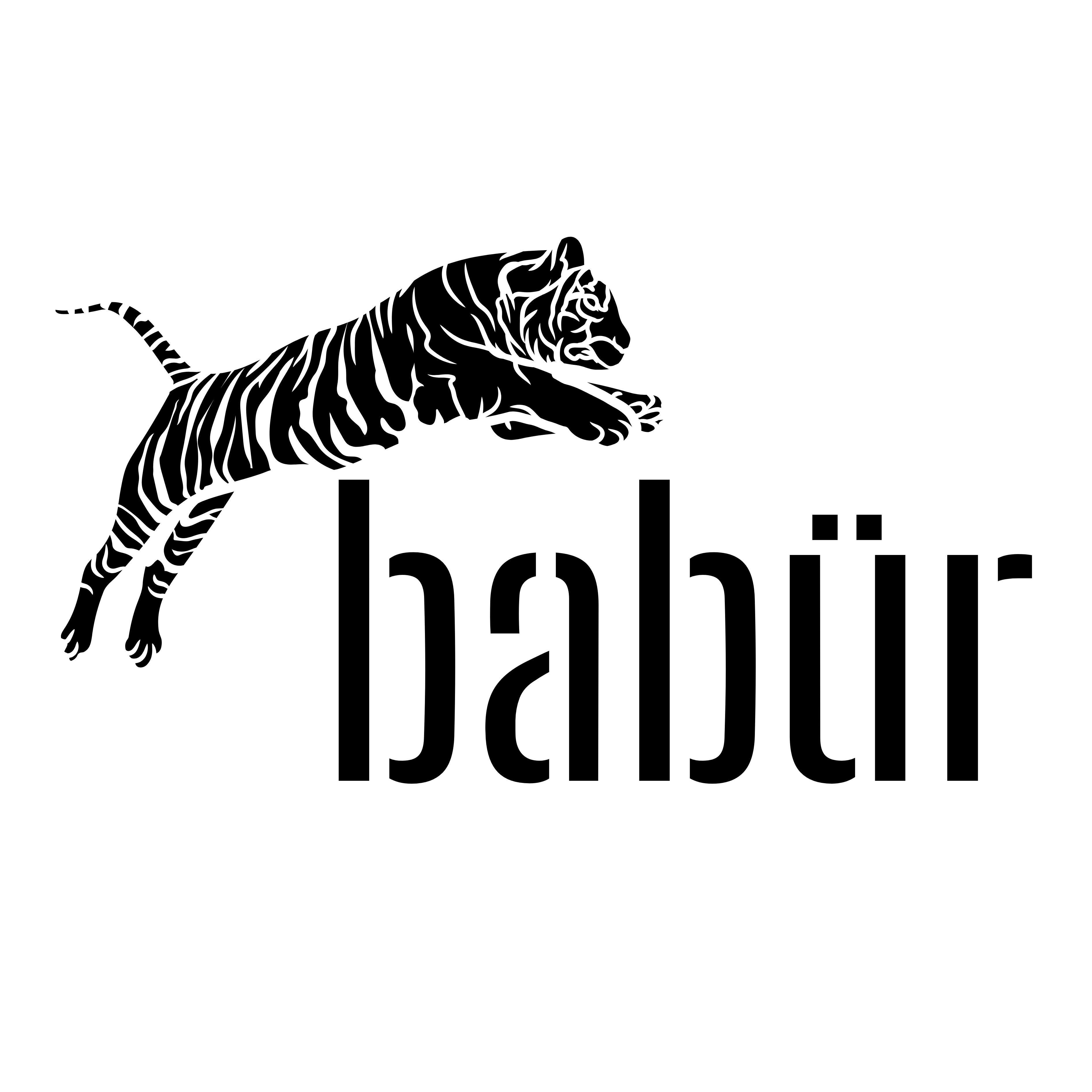 Babür Yayınları
